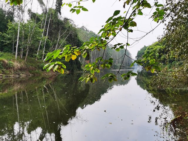 重訪貢井艾葉沙塘半島