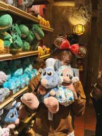 A Day at California Disneyland: 16 Rides and More!