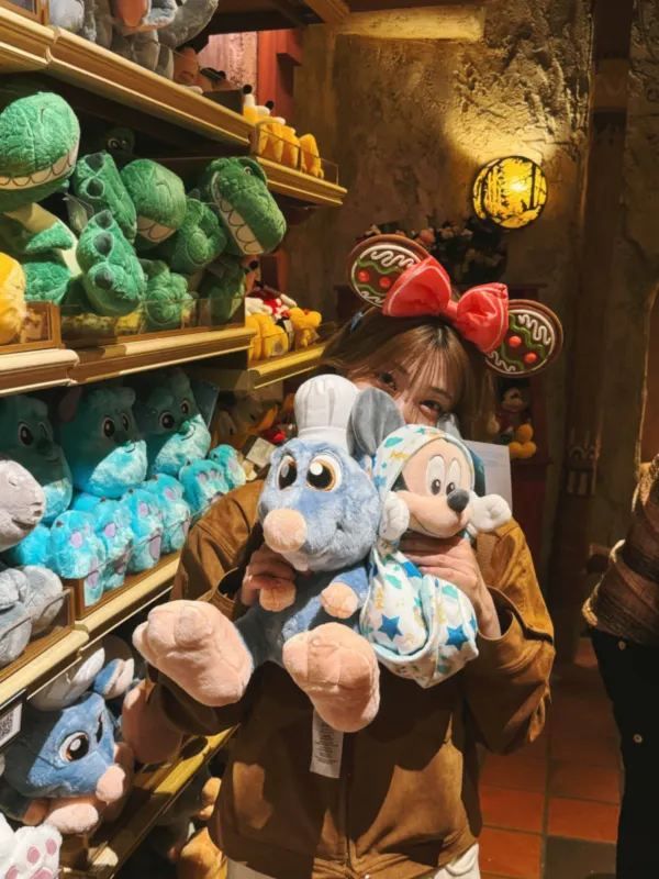 A Day at California Disneyland: 16 Rides and More!