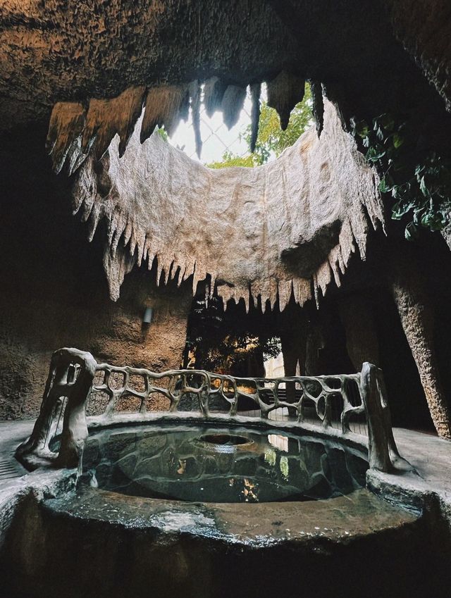南岸秘密花園——重慶南山植物園