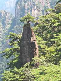 蚌埠至黃山 6 日遊超詳細攻略 輕鬆玩轉不踩雷