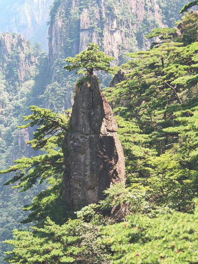 蚌埠至黃山 6 日遊超詳細攻略 輕鬆玩轉不踩雷
