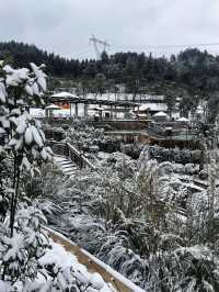 不用去東北 貴州人也有自己的「長白山」了！