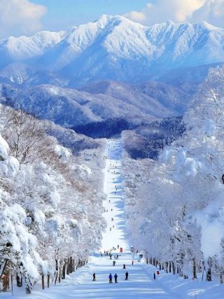 2D1N Budget Travel Guide to Shennongjia!!!