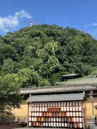 這就是「夢中情宅」！