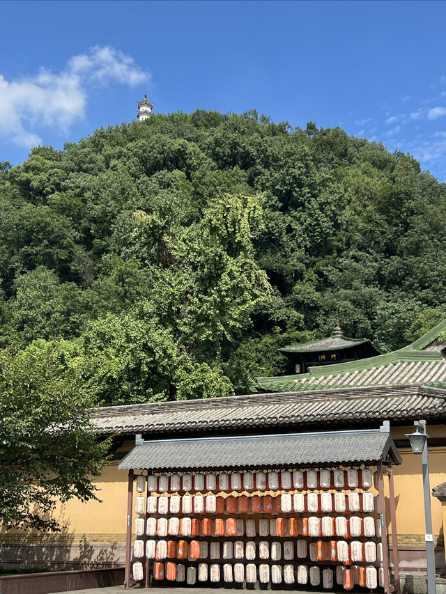 這就是「夢中情宅」！