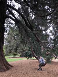 《漫步基督城哈格利公園》