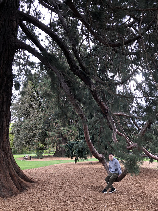 《漫步基督城哈格利公園》