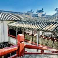 我來深圳古玩城啦！！
