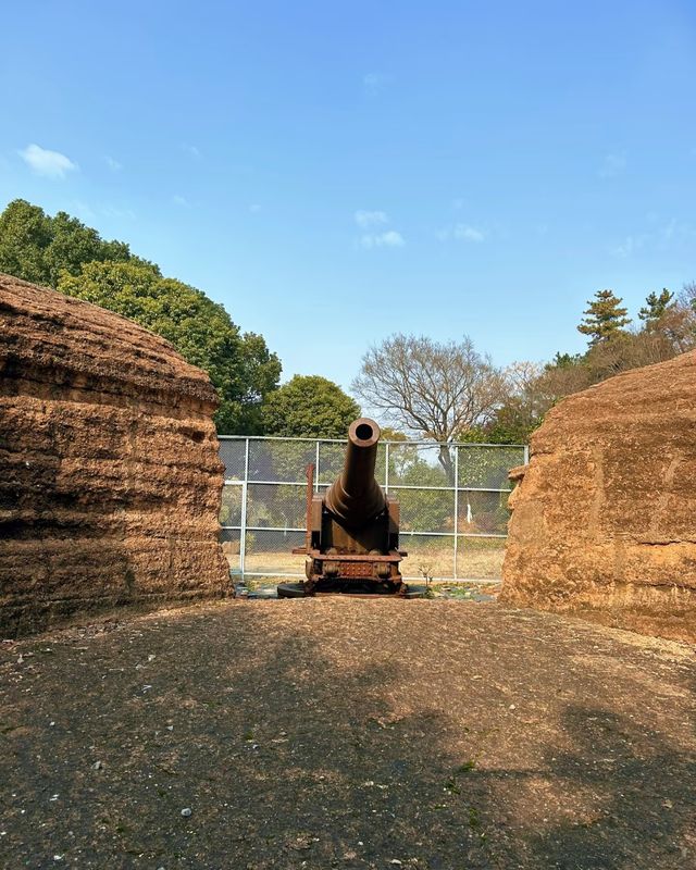 嘉興乍浦九龍山國家森林公園，一場自然與歷史的盛宴