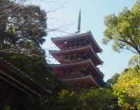 日本高知竹林寺｜禪意寶藏之旅