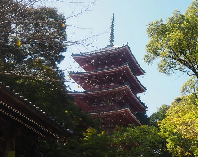 日本高知竹林寺｜禪意寶藏之旅