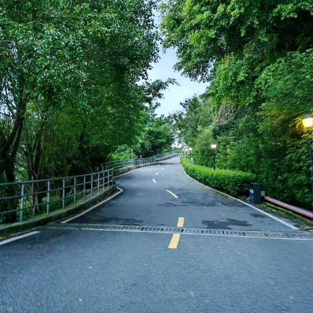 珠海板樟山：1999級臺階的歷史見證