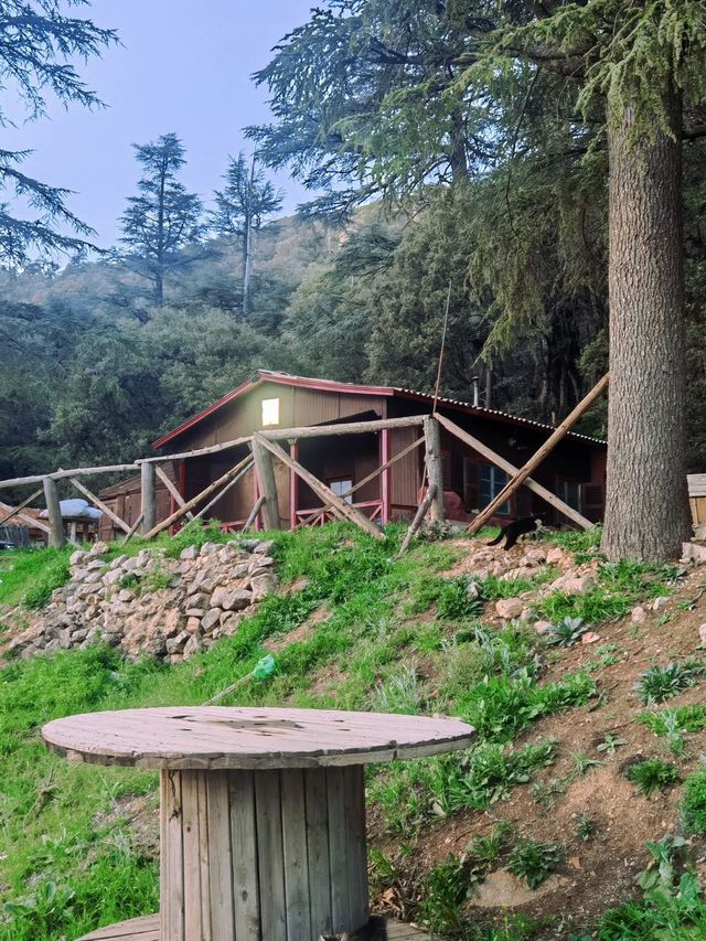 13天摩洛哥旅行 免簽告訴你怎麼玩