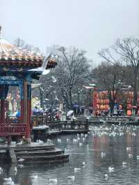 昆明大觀公園雪景如畫