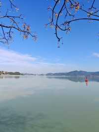 寧波人的「小洱海」——東錢湖利民村！！