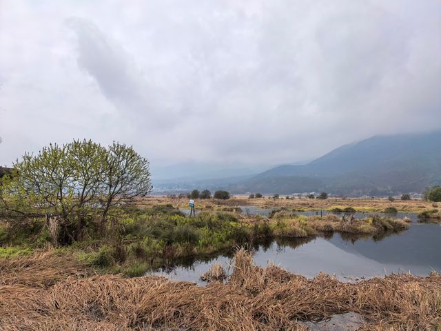春節騰沖度假