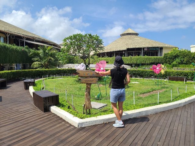 峇里島 | Yello Kuta Beachwalk Bali   酒店：Yello Kuta