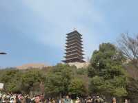 乙巳蛇年春節遊牛首山
