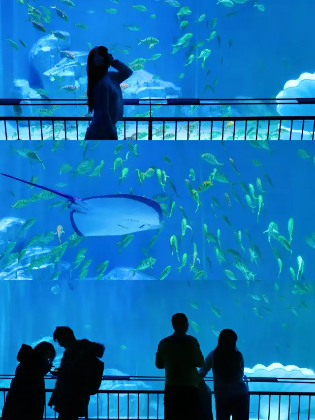 A wonderful trip to Harbin Polarland