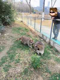 市區公園裏藏了個動物園！這也太超前了吧！