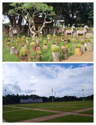 Pleiku Day Tour: A Feast for the Mind and Nature