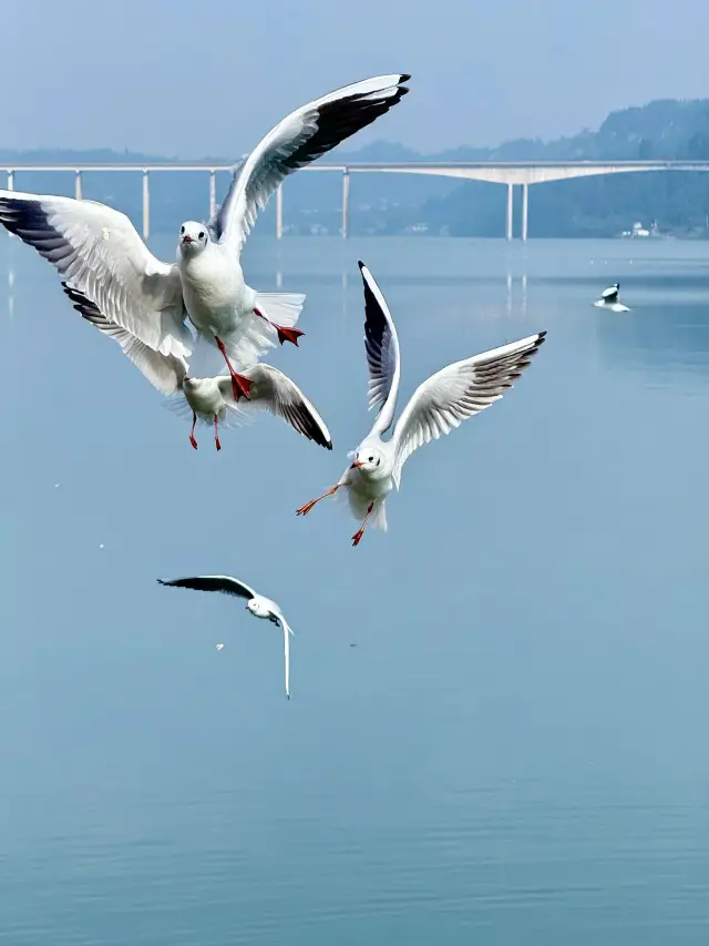 가성비 좋은 첸웨이 2일 여행 코스 클릭하면 고민 끝!