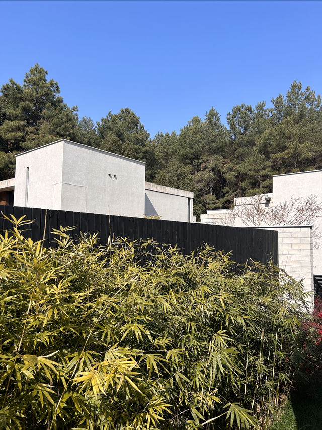 山谷松林星空私湯，被Anadu白阜莊園拿捏了！