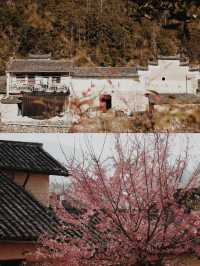 假期反向旅遊松陽治好咗我嘅精神內耗