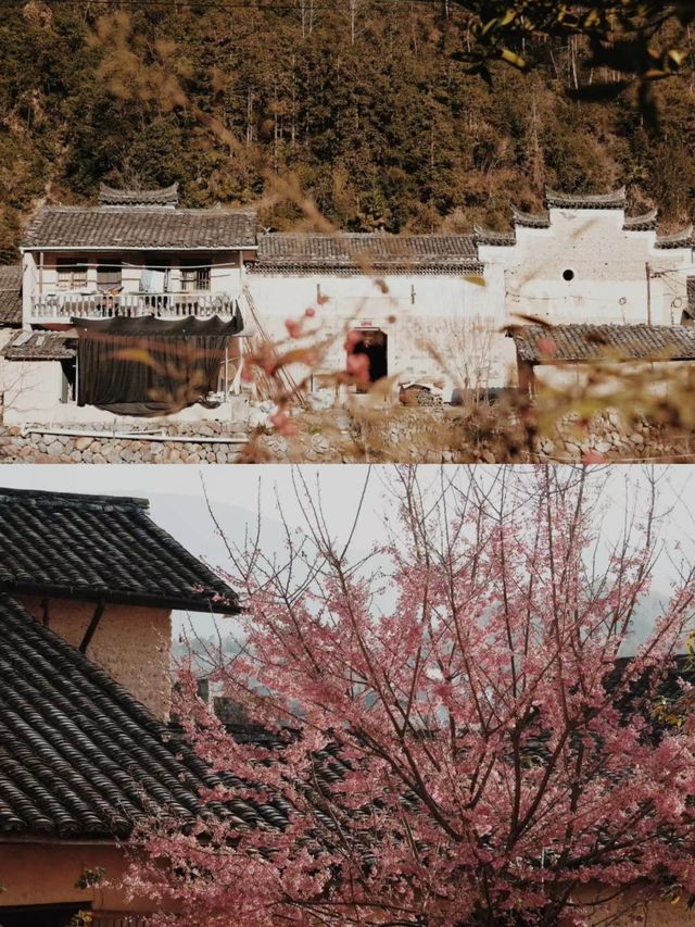假期反向旅遊松陽治好咗我嘅精神內耗