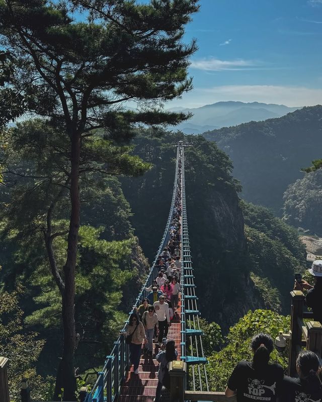 在原州市雉岳山看到了絕美的霧凇