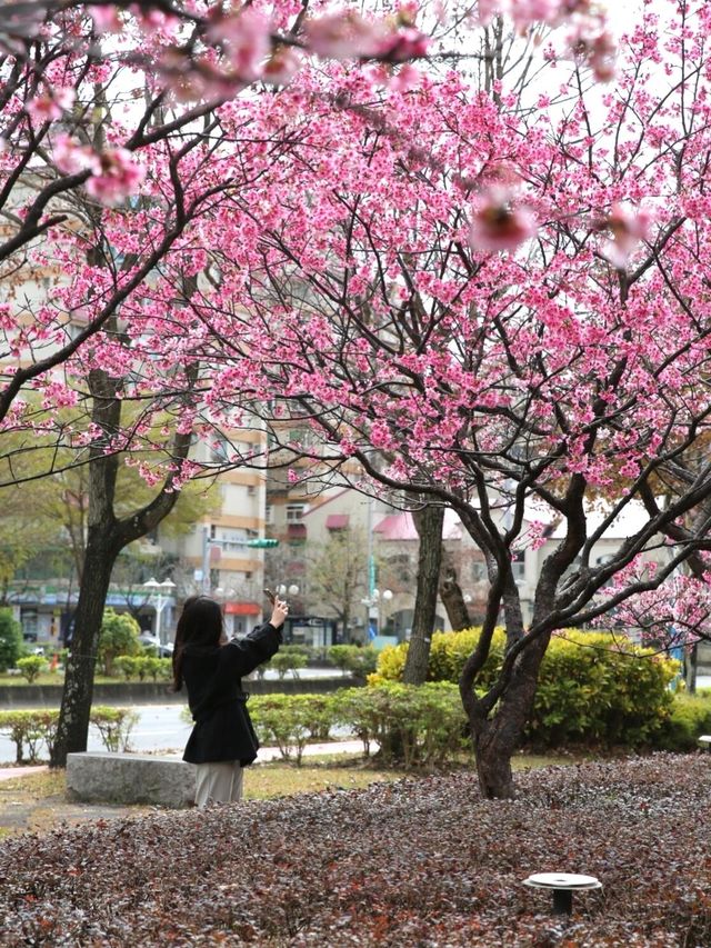 台北