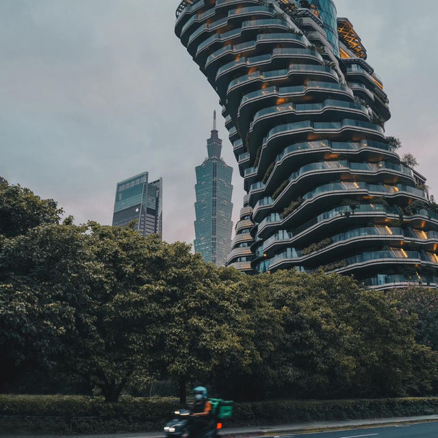 🌆台灣必打卡|台北101，一眼望穿台北