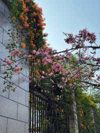 攀枝花