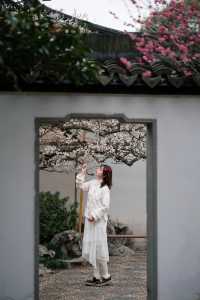 上海梅花季一定要去這個古典園林賞花還免費!!