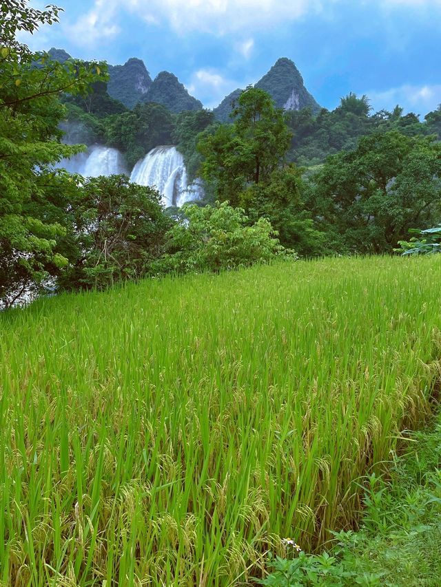 花2日領略廣西百色通靈峽谷等地植物園的魅力必看指南