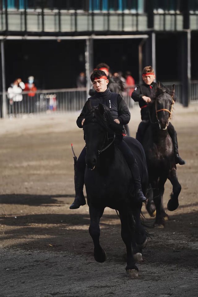 太激動!太熱血沸騰了!家人們,去烏魯木齊一定要去這個地方! 太激動!太熱血沸騰了!家人們,去烏魯木齊一定要去這個地方!