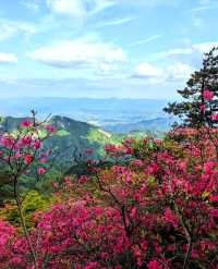 龜峰山的四月不要錯過呀