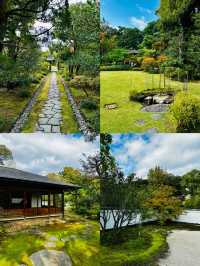 小眾秘境犬山市，解鎖別樣日本風情