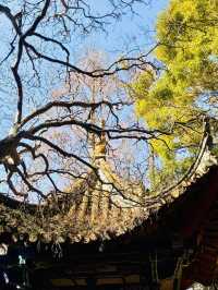 Kunming Tanhua Temple