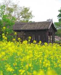 版畫村遇上色彩斑斕的油菜花海，太美太夢幻