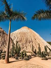 建水佛映蓮花島親子遊全攻略