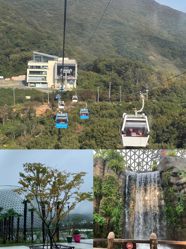 闖入韓劇同款夢幻綠野韓國巨濟植物園探秘