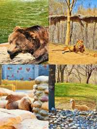 5. 北京野生動物園隱藏玩法，99% 的人都不知道？