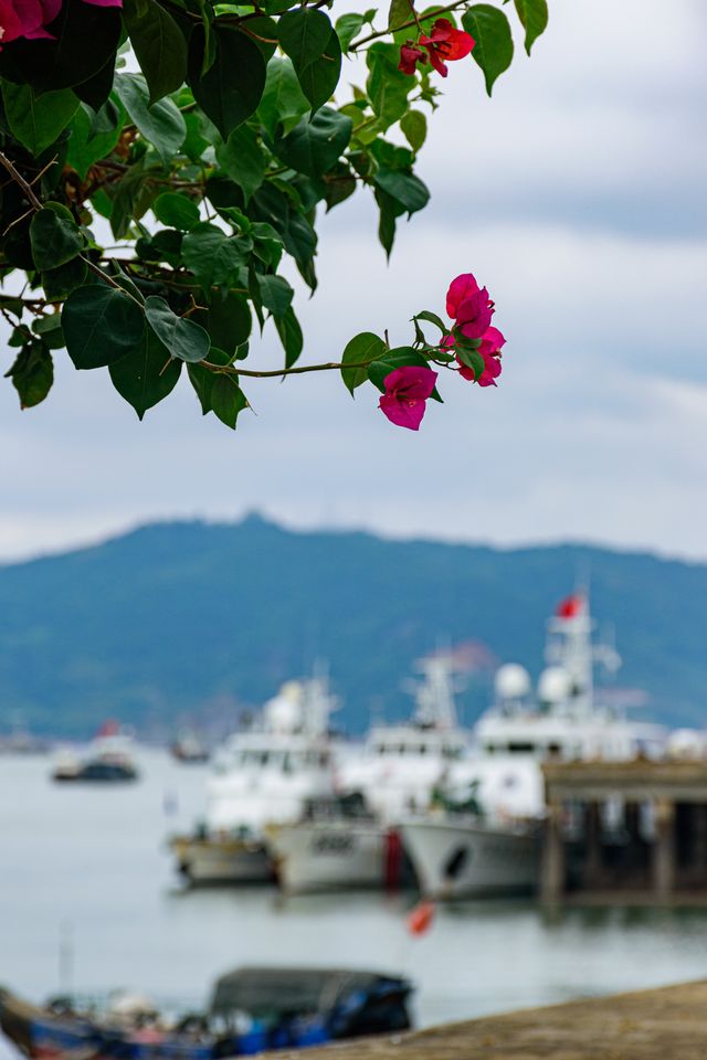 霞關老街｜鑲嵌在浙江最南端的一顆璀璨明珠