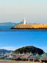 韓國莞島郡