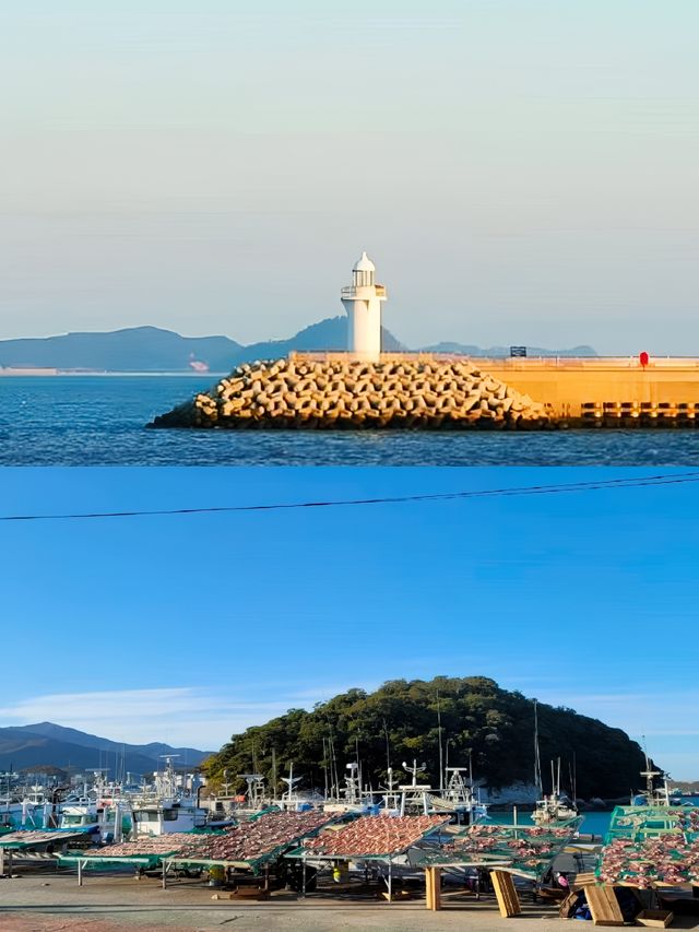 韓國莞島郡