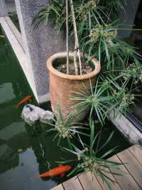 順德｜華德里
