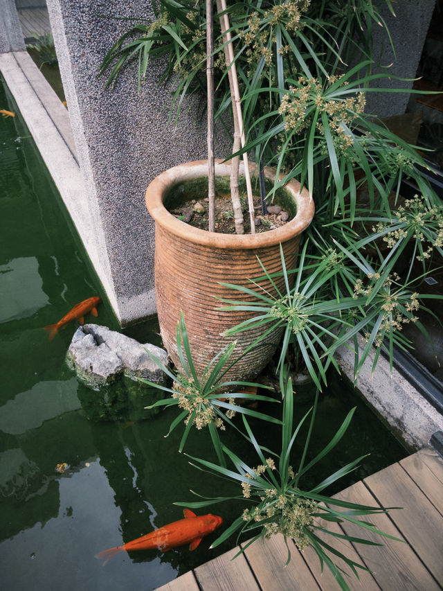 順德｜華德里