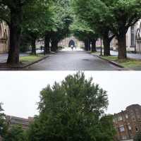 走進東京大學 | 探尋學術與文藝的象牙塔🎓